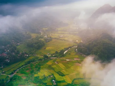 Mùa vàng ở Pù Luông