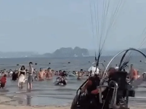 Phạt 21 triệu đồng công ty có dù lượn lao vào du khách ở Hạ Long