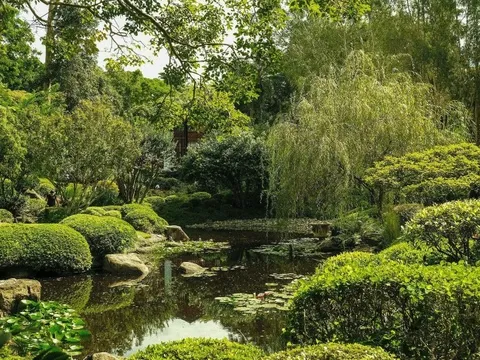 4 trải nghiệm nên thử khi du lịch trong ngày tại Brisbane