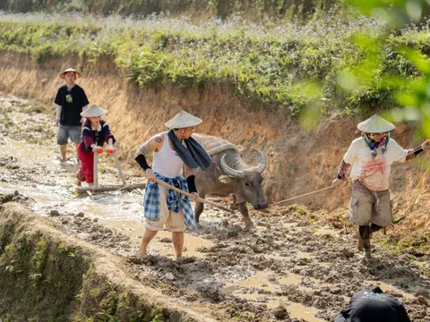 Bản nhỏ Lào Cai đông khách sau chương trình Gia Đình Haha