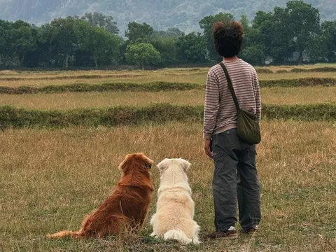 Tôi đóng quán cà phê, đưa chó đi xuyên Việt