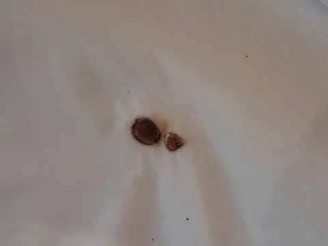 Khách hút thuốc cháy đệm, khách sạn Cửa Lò yêu cầu đền 4,8 triệu đồng