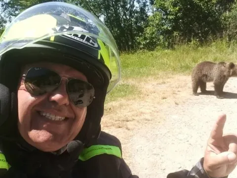 Du khách chụp ảnh với gấu con ở Romania, bị gấu mẹ tấn công đến chết