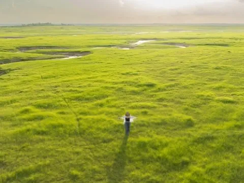 Thảm cỏ 'siêu thực' giữa lòng hồ Trị An mùa nước cạn