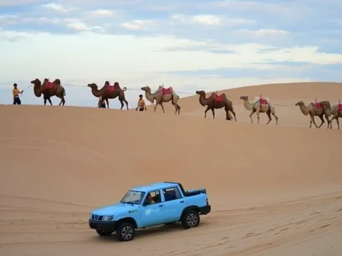 Rộ tour cưỡi lạc đà sau lệnh tạm ngưng xe Jeep ở Bàu Trắng