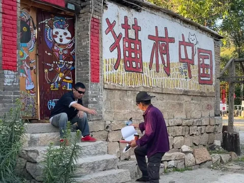 Làng mèo hoang hút khách 'chữa lành' ở Trung Quốc