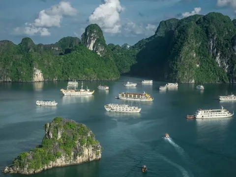 Vịnh Hạ Long đón khách trở lại