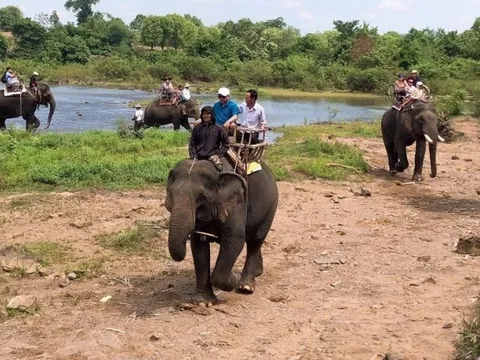 Được tài trợ hơn 2,2 triệu USD, vì sao voi nhà vẫn phải 'cõng' khách?