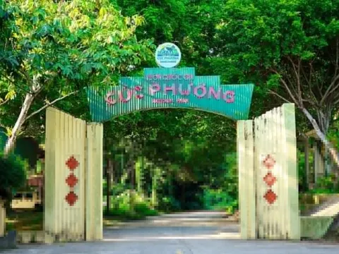 Du khách mất tích nhiều ngày trong rừng Cúc Phương