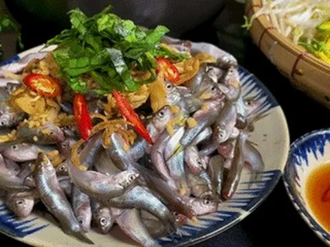 Đặc sản ‘trời cho’ mỗi năm 1 lần ở miền Tây, bé bằng ngón tay, nấu lẩu rất ngon