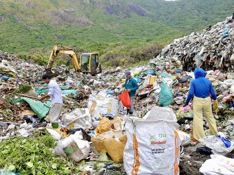 Côn Đảo nỗ lực "xanh hóa" du lịch