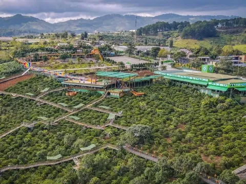 Du khách bất bình với giá cà phê 100.000 đồng ở Đà Lạt, lãnh đạo phường lên tiếng