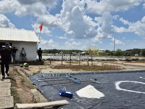 Một nơi vô cùng độc đáo nhưng còn ít người đặt chân đến ở TP HCM