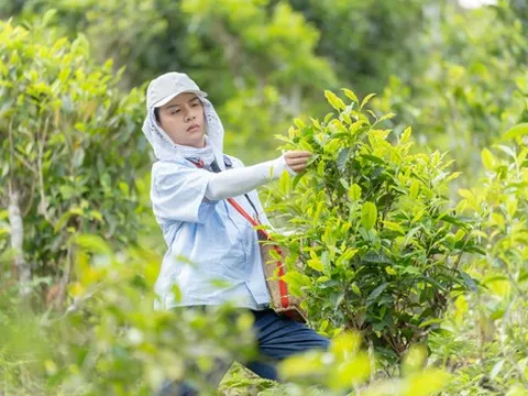 Diễn viên DUY KHÁNH: Tôi đang gặt quả ngọt