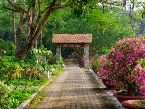 Tức Dụp - Ngọn đồi với những ký ức hào hùng giữa lòng An Giang