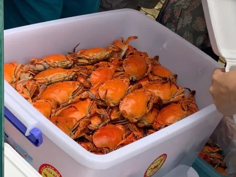 Điểm bán cua hấp trên vỉa hè TP HCM có gì đặc biệt mà khách chen kín mỗi chiều?