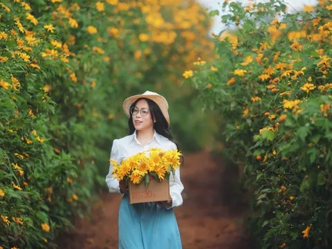 Cảnh trái ngược tại Đà Lạt, Măng Đen dịp 2/9