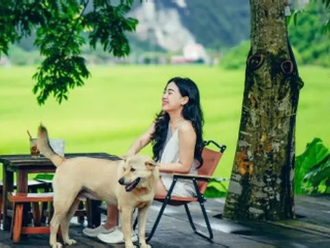 Trốn phố về thung lũng cách Hà Nội 2 giờ lái xe, hái trái đặc sản đang chín rộ