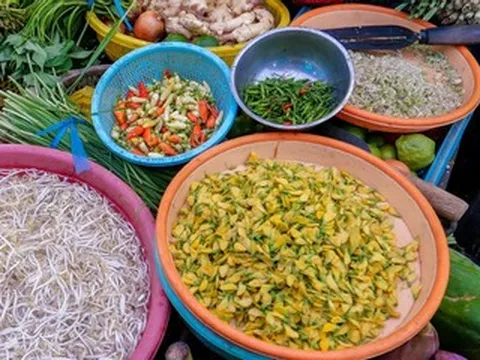 Đặc sản miền Tây mùa nước nổi, bà con soi đèn hái trong đêm, nấu lẩu thơm ngon