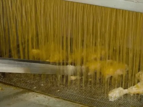 Đầu bếp Mỹ nổi tiếng ngỡ ngàng với 'gà tắm thác dầu, cơm đảo tự động' ở TPHCM