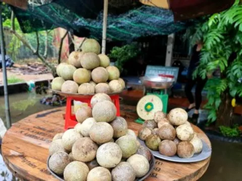 Những quả đặc sản phổ biến ở miền Tây, ra Bắc thành 'hàng hiếm'