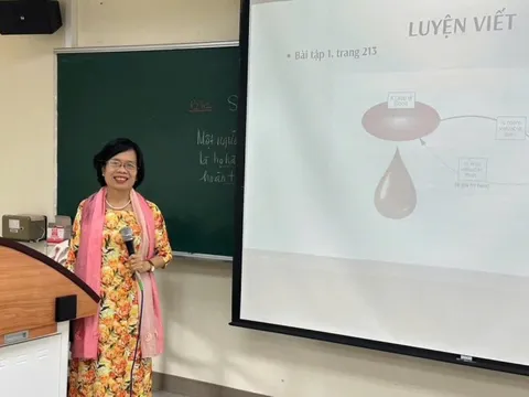 Bao la tình yêu tiếng Việt