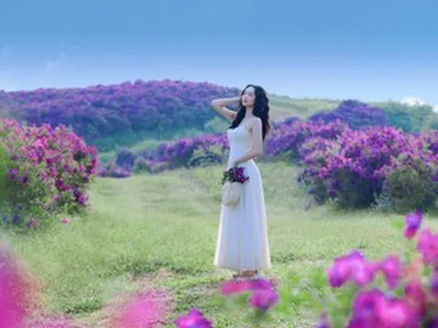 Ngọn đồi nhuộm sắc tím, mây bồng bềnh, khách Hà Nội ‘nhìn ảnh là muốn đi ngay’