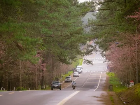 Măng Đen không thiệt hại dù động đất liên tiếp