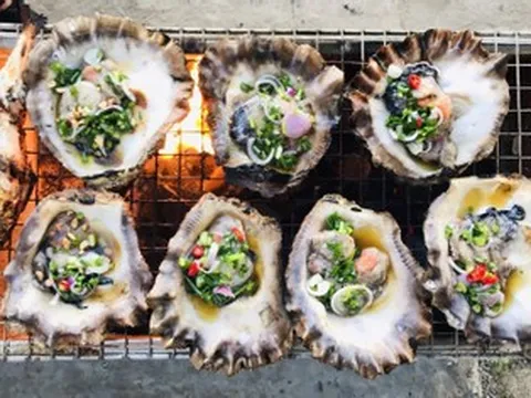 Đặc sản 'trời ban' ở Quảng Trị ăn sống hay chín đều ngon, có tiền cũng khó mua