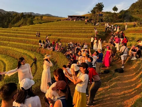 'Lạm phát nàng thơ' tại Mù Cang Chải