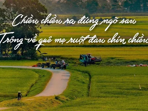 Tiếng Việt giàu đẹp: "Ruột đau chín chiều"