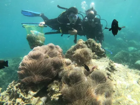 Du khách phải trả phí tham quan vịnh Nha Trang từ 25/9
