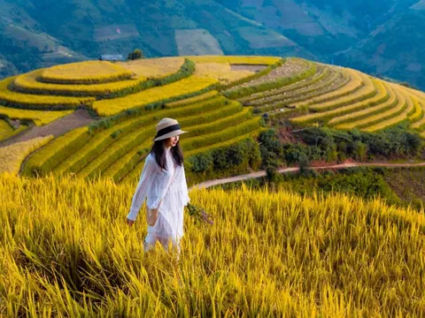 4 lộ trình 'đáng từng xu' ngắm mùa vàng Tây Bắc