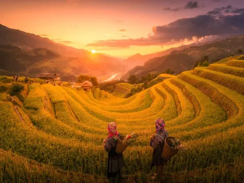 Cảnh đối lập sáng, chiều đẹp như tranh ở Mù Cang Chải