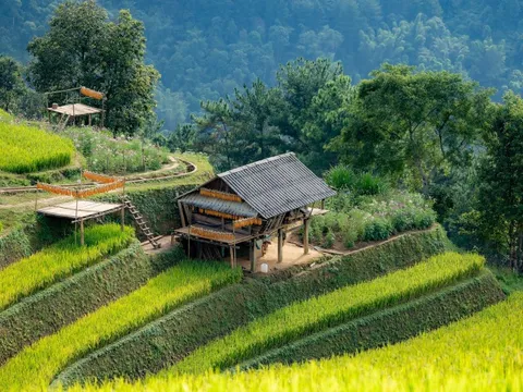 Những căn 'penthouse' ở Mù Cang Chải