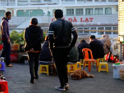 Sắp hết cảnh ngồi cà phê sáng sớm ở khu Hòa Bình, Đà Lạt