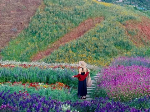 Trông như Thuỵ Sĩ nhưng là quán cà phê ở Mộc Châu