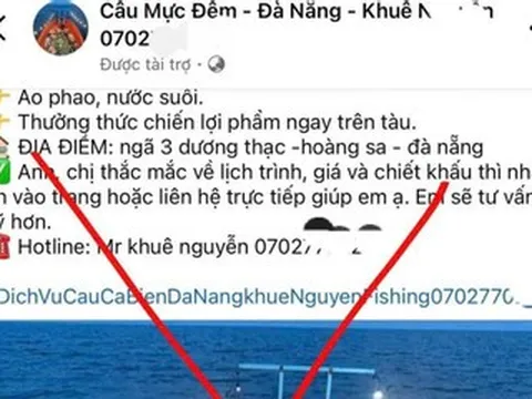 Rộ tour đưa khách ra biển câu mực đêm, Đà Nẵng vào cuộc xử lý