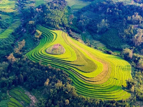 Cảnh ruộng bậc thang ấn tượng nhìn từ trên cao
