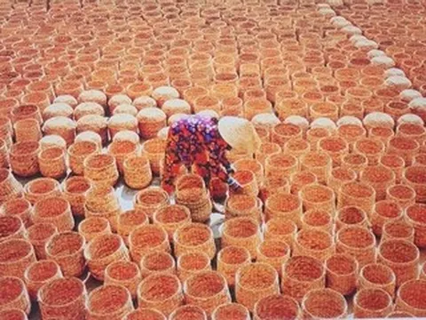 Khoảnh khắc xanh lay động trái tim