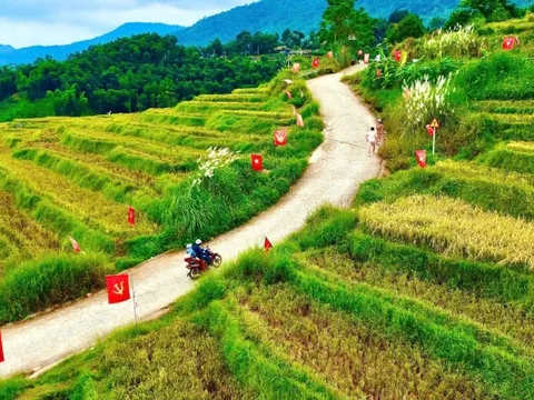 Cung đường chữ S giữa 'rừng cờ' Thanh Hóa mùa đẹp nhất năm