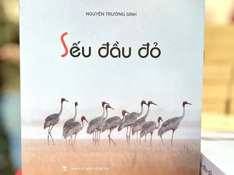 Hành trình 10 năm "mong đợi ngày sếu trở về"
