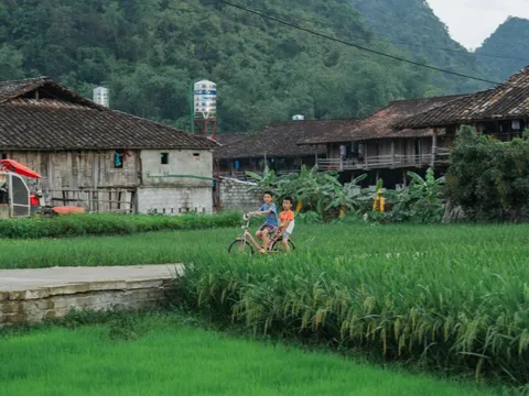 Những căn nhà cùng hướng tại làng du lịch tốt nhất thế giới ở Việt Nam