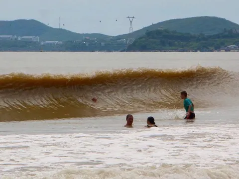 Vô tư tắm biển Nha Trang mặc bị cấm