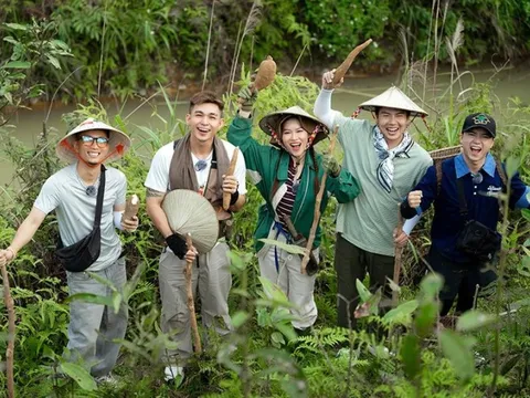 Đề cử Giải Mai vàng hạng mục "Chương trình truyền hình - nền tảng số": Sân chơi bùng nổ và ý nghĩa