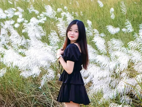 Check-in cánh đồng lau trắng muốt ở Đà Nẵng