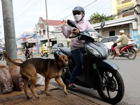 Quán chuối chiên nổi tiếng Cần Thơ khiến khách thích thú với 'thu ngân' đặc biệt