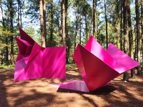 Không gian nghệ thuật trong rừng hiếm hoi tại Việt Nam