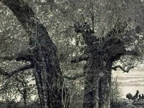 Tạo tác di sản nghìn năm, thầy giáo mỹ thuật giành giải 75 triệu đồng