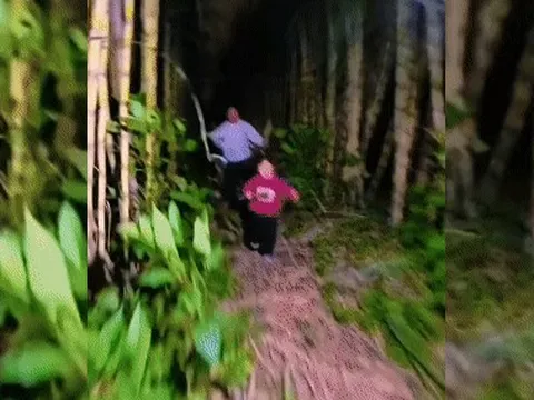 Trào lưu khách đi 'trộm mía', chủ vườn rượt đuổi tại Trung Quốc